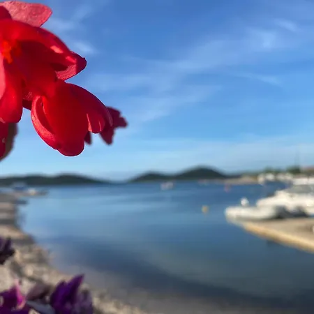 Ferienhaus Del Mare, Seaside Family Pace, Free Parking And Wifi In Camp Dalmatino *